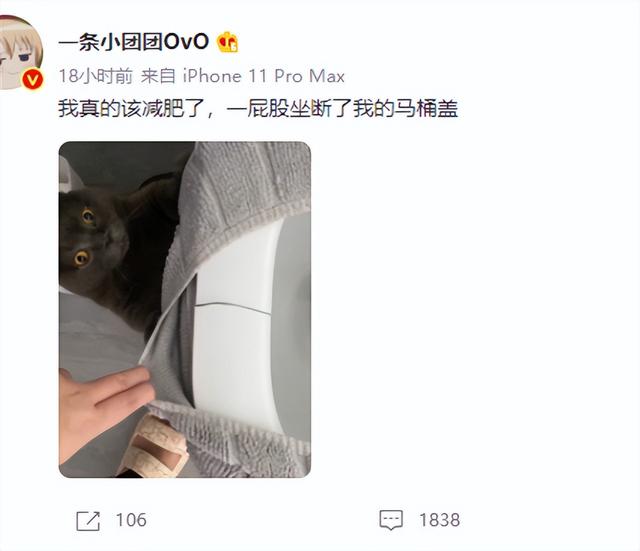 小團(tuán)團(tuán)斗魚直播間，斗魚小團(tuán)團(tuán)和平小店下載？
