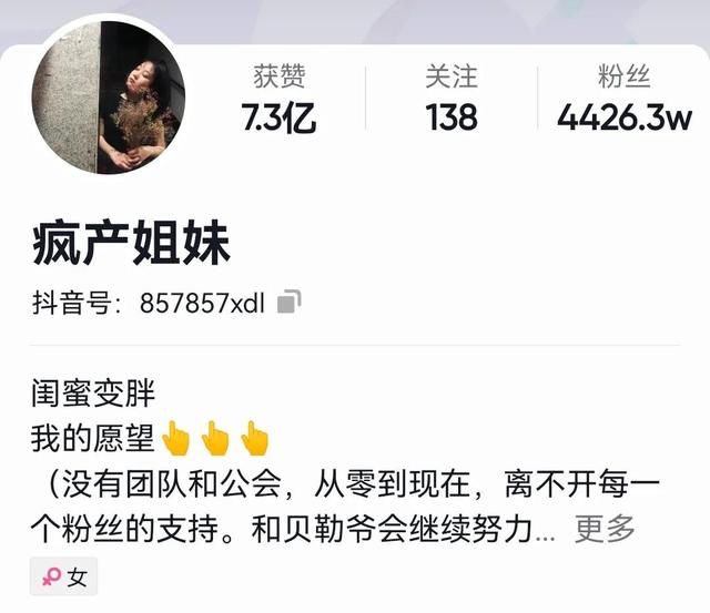 00萬粉絲一個月能賺多少，600萬粉絲一個月能賺多少錢??？"