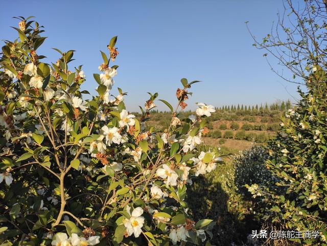 快手一萬(wàn)粉絲發(fā)作品怎么賺錢，快手粉絲5000千怎么發(fā)作品掙錢？