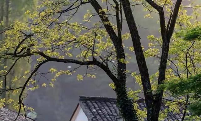 抖音上很火的歌曲歌詞是天在下雨，抖音上有首歌叫什么的下雨天？