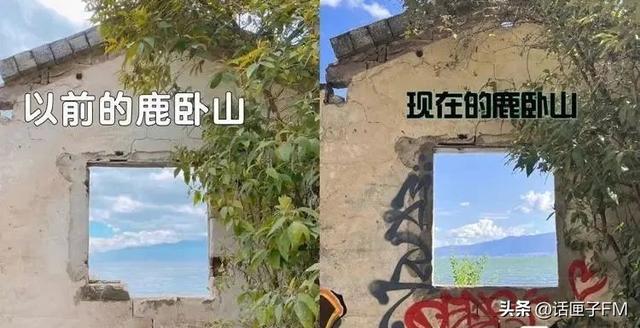 小紅書申請(qǐng)解封理由怎么寫，小紅書解封申訴內(nèi)容怎么寫？