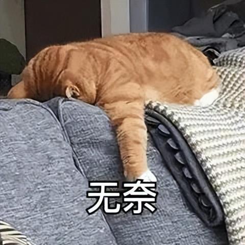 快手小鈴鐺賺錢是真的嗎，快手小鈴鐺賺錢是真的嗎知乎？