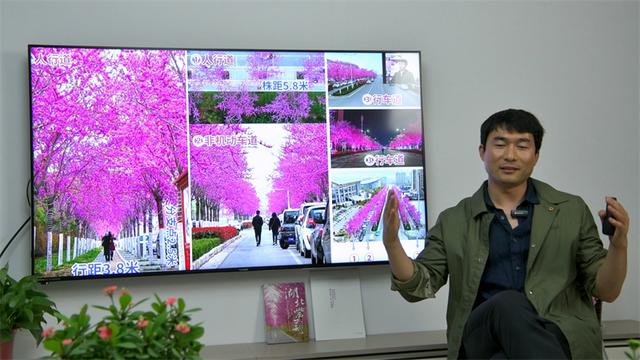 苗木銷售如何找客戶電話，苗木銷售如何找客戶電話聯(lián)系？